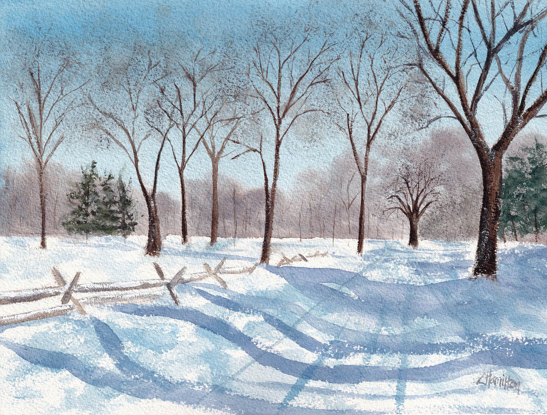 Battle Road Trail in Winter