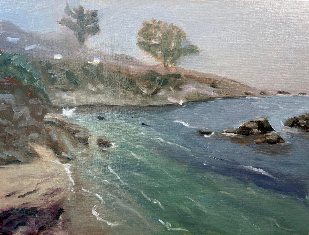 Foggy Shore