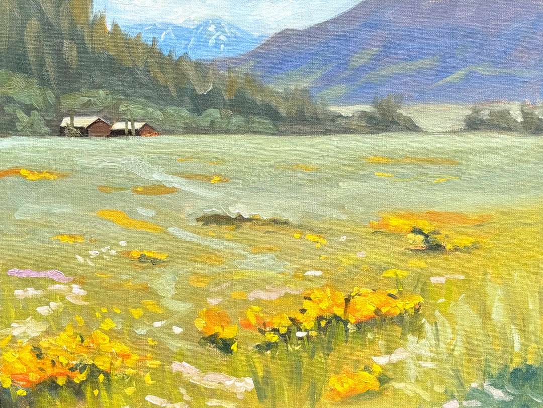 Wyoming Field