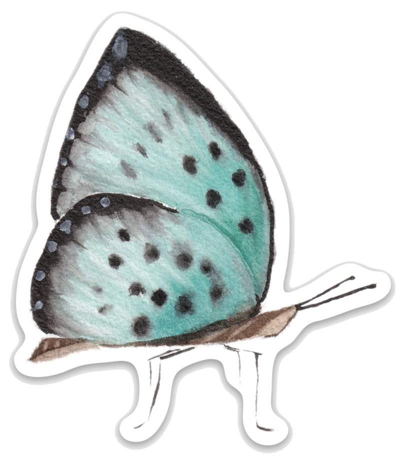 Blue Butterfly Watercolor Sticker