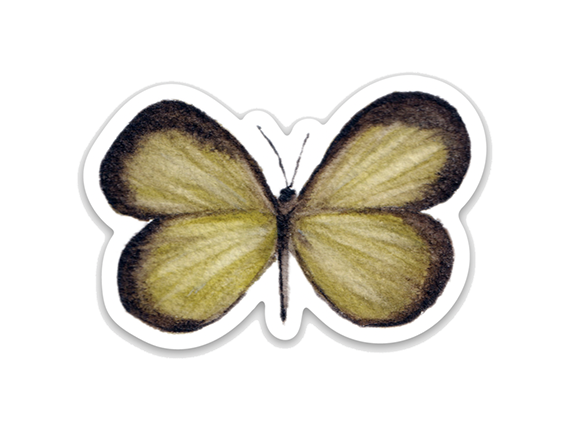 Green Butterfly Watercolor Sticker