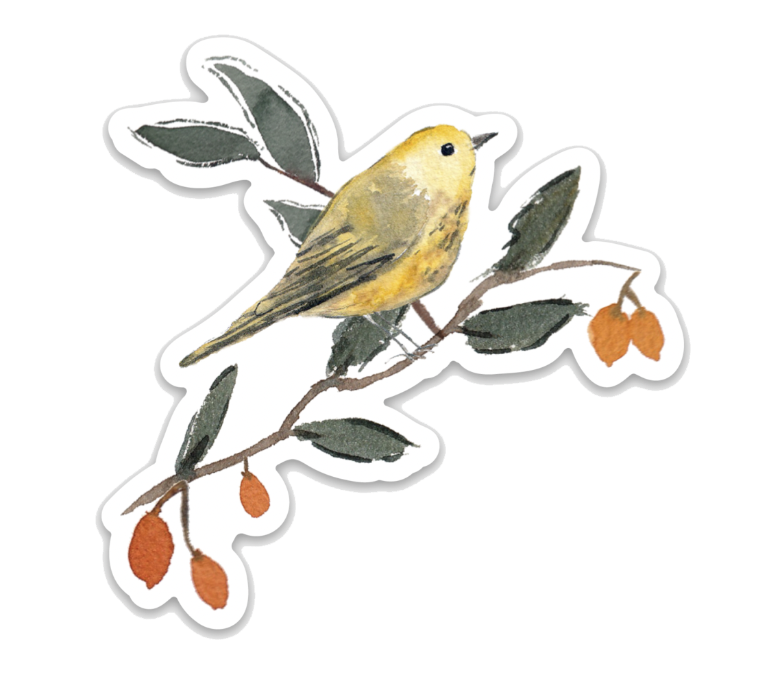 Yellow Warbler Watercolor Sticker