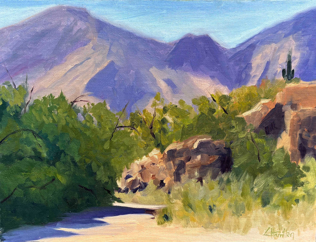 Morning At Honey Bee Canyon