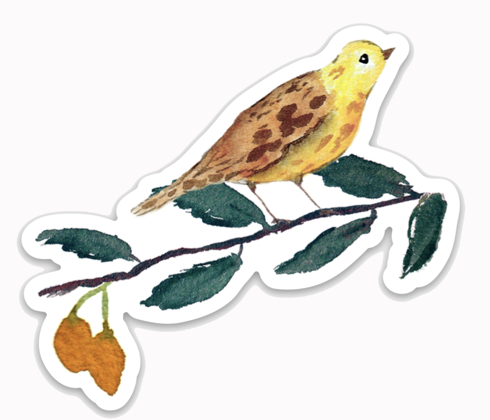 Yellow Bird on Branch Watercolor Sticker