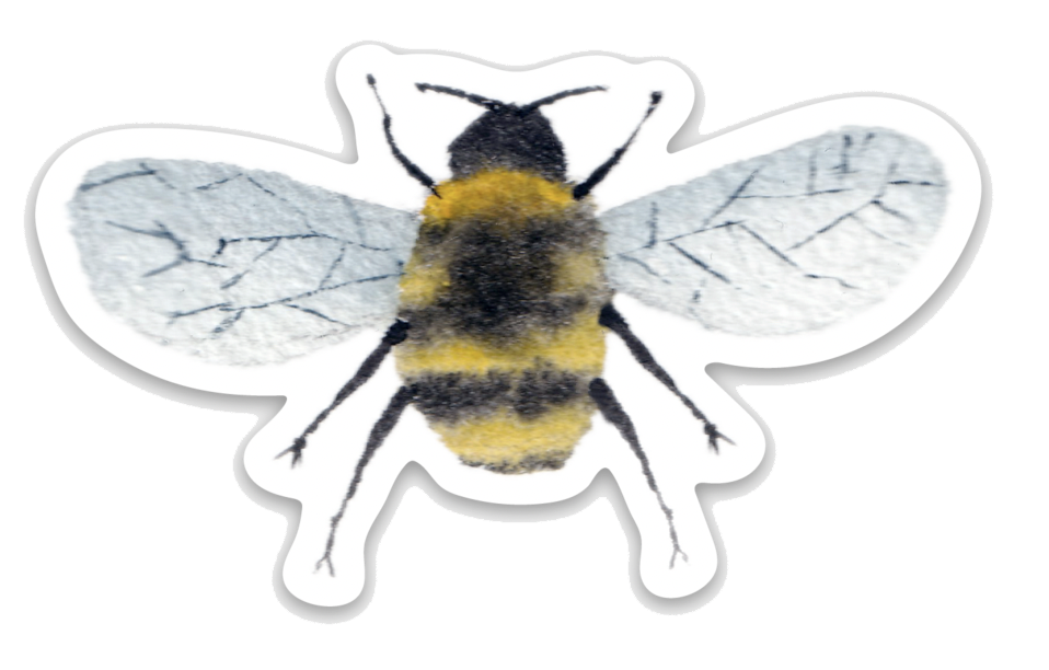 Bumble Bee Watercolor Sticker