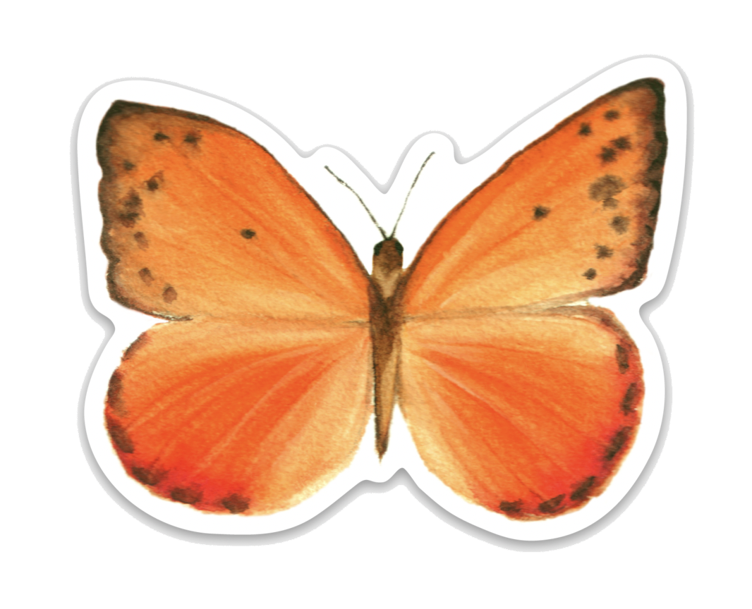 Orange Butterfly Watercolor Sticker