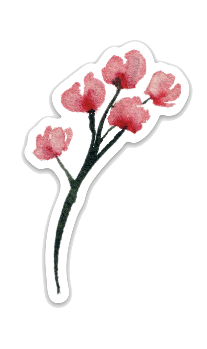 Pink Blossoms Watercolor Sticker