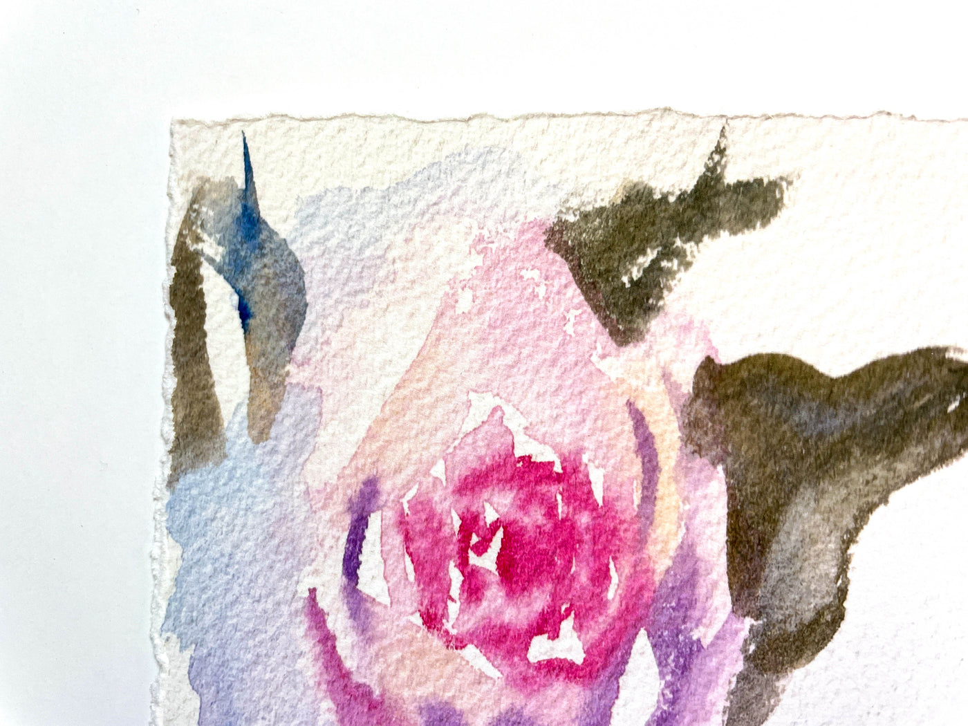 Rose Study Watercolor Art Print