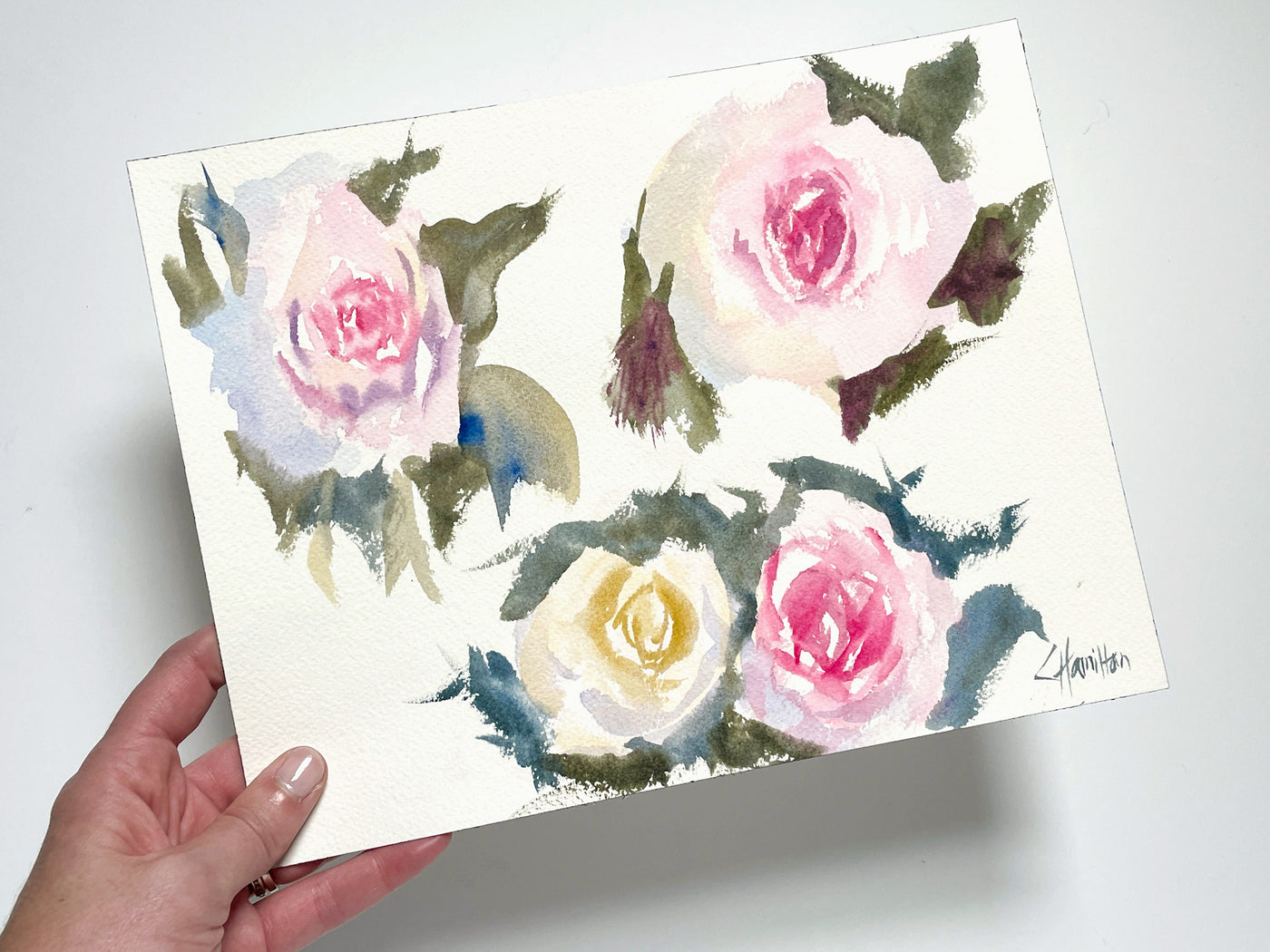 Rose Study Original Watercolor Painting