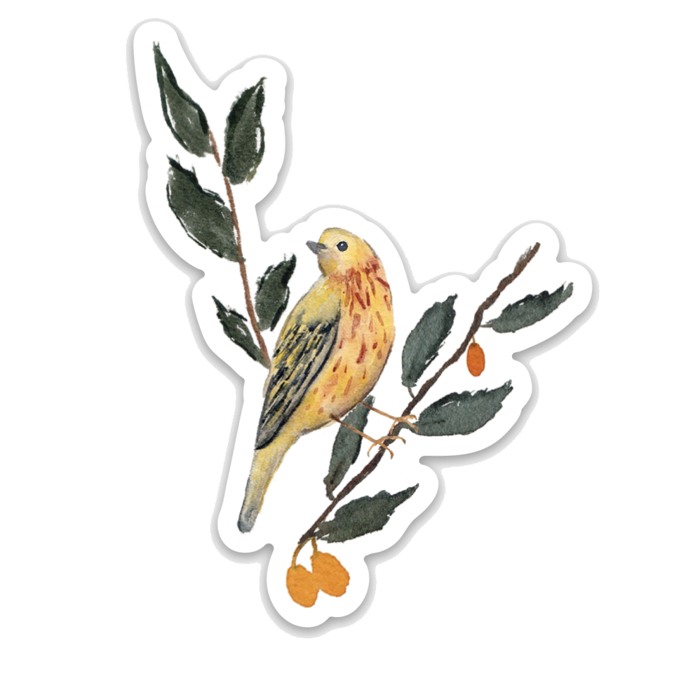 Yellow Warbler On Branches Watercolor Sticker