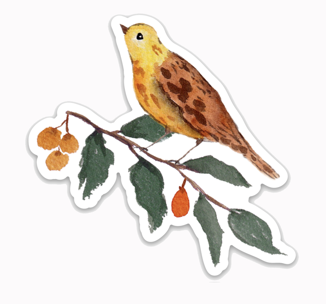 Yellow Bird with Berries Watercolor Sticker